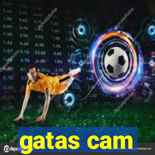 gatas cam